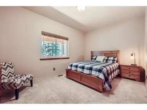 301 Pinaceae Hts, Divide, CO 80814 photo 23