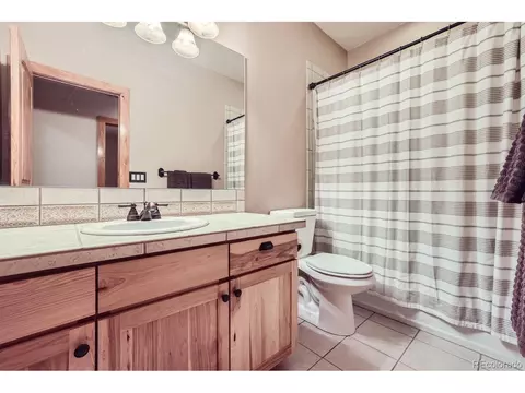 301 Pinaceae Hts, Divide, CO 80814 photo 25
