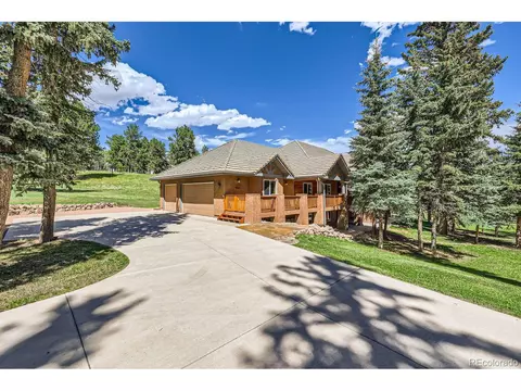 301 Pinaceae Hts, Divide, CO 80814