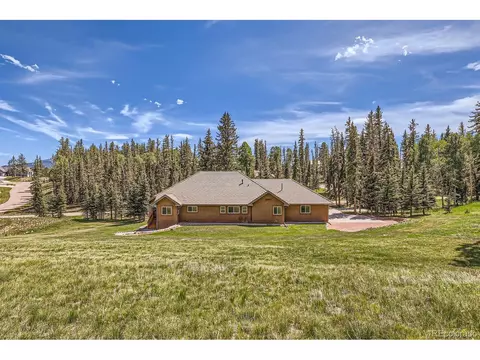 301 Pinaceae Hts, Divide, CO 80814 photo 43