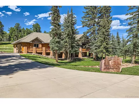 301 Pinaceae Hts, Divide, CO 80814 photo 3