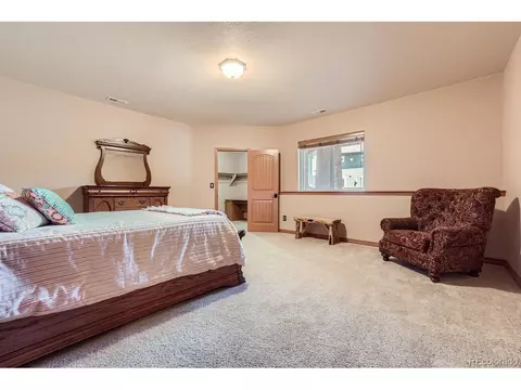301 Pinaceae Hts, Divide, CO 80814 photo 30