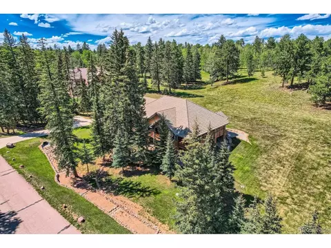 301 Pinaceae Hts, Divide, CO 80814 photo 49