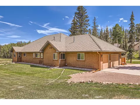 301 Pinaceae Hts, Divide, CO 80814 photo 44