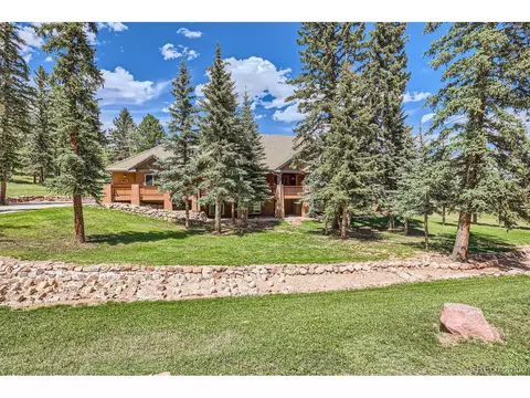 301 Pinaceae Hts, Divide, CO 80814 photo 2