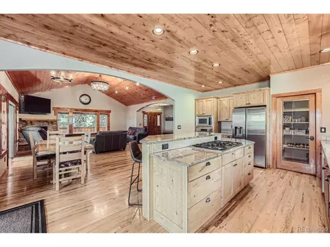 301 Pinaceae Hts, Divide, CO 80814 photo 16