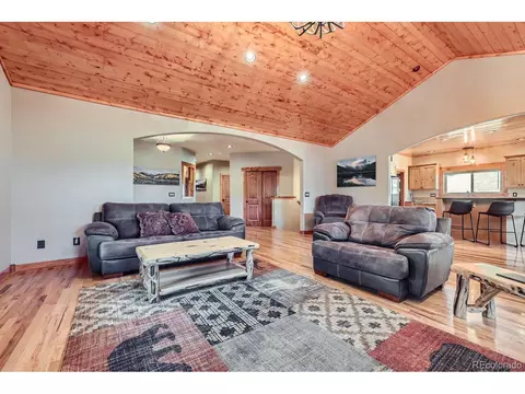301 Pinaceae Hts, Divide, CO 80814 photo 9
