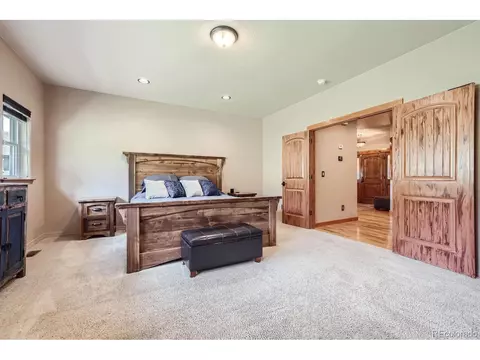 301 Pinaceae Hts, Divide, CO 80814 photo 20