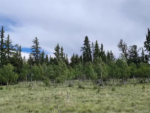 646 Turk Pony Way, Como, CO 80432