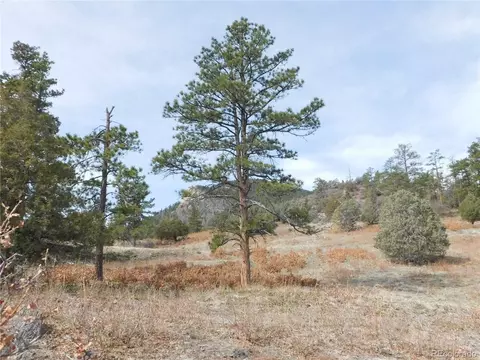 7700 Seminole Dr, Larkspur, CO 80118