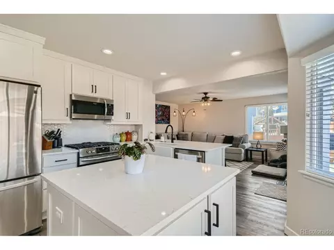 3155 E 105th Pl, Northglenn, CO 80233 photo 10