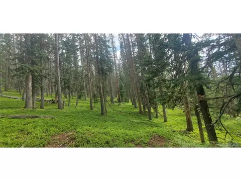 6542 Schlueter Rd, Fort Garland, CO 81133