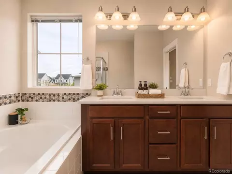 Bath - 10080 E 59th Dr, Denver, CO 80238 photo 3 of 5