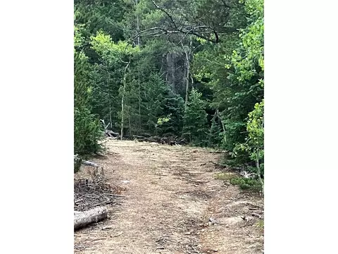 850 Lupine Pl, Black Hawk, CO 80422
