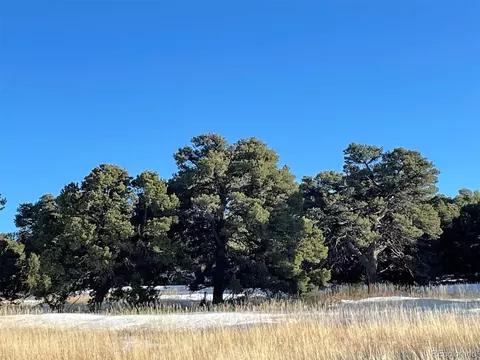 58 Comanche Dr, Walsenburg, CO 81089 photo 9
