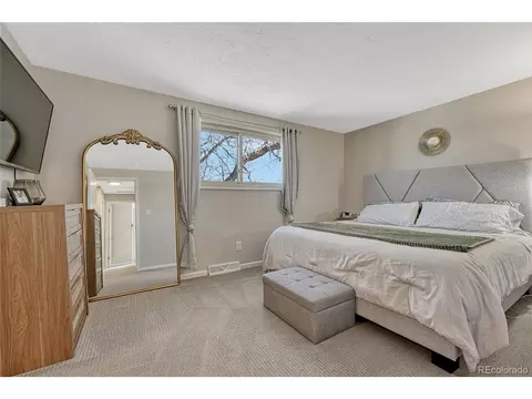 280 Jupiter Dr, Lone Tree, CO 80124 photo 20