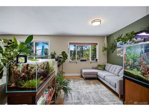 Living - 31280 Florence Rd, Conifer, CO 80433 photo 2 of 8