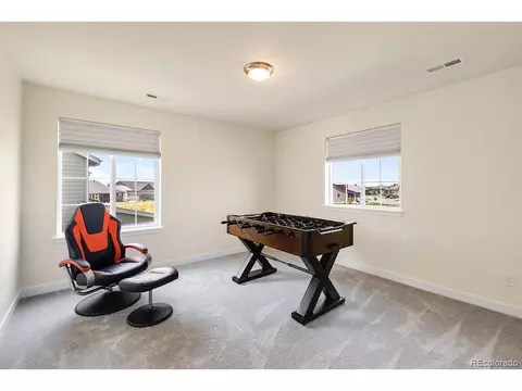 7044 Thunderview Dr, Timnath, CO 80547 photo 22
