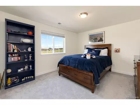 7044 Thunderview Dr, Timnath, CO 80547 photo 17