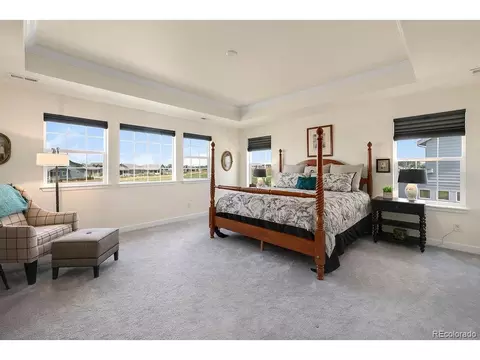 7044 Thunderview Dr, Timnath, CO 80547 photo 14