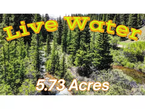 9936 County Rd-18, Fairplay, CO 80440