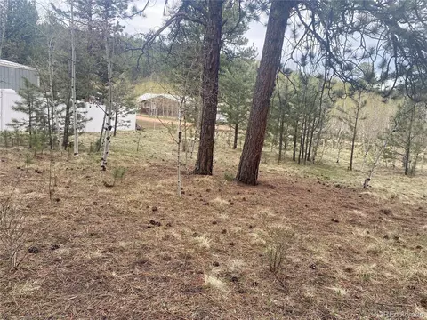 5 Gray St, Bailey, CO 80421 photo 11