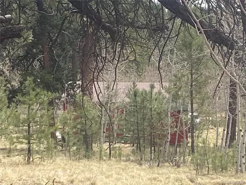 5 Gray St, Bailey, CO 80421 photo 5