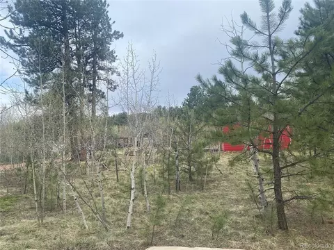 5 Gray St, Bailey, CO 80421 photo 14