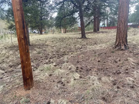 5 Gray St, Bailey, CO 80421 photo 13