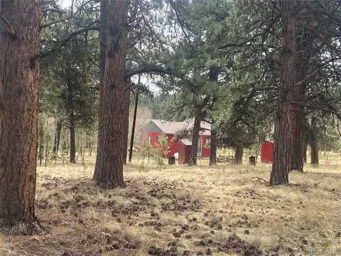 5 Gray St, Bailey, CO 80421 photo 2