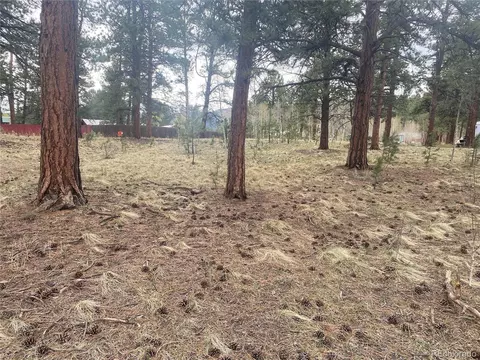 5 Gray St, Bailey, CO 80421 photo 12
