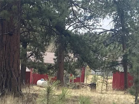 5 Gray St, Bailey, CO 80421 photo 6