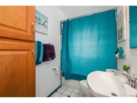 2825 Grape St, Denver, CO 80207 photo 16