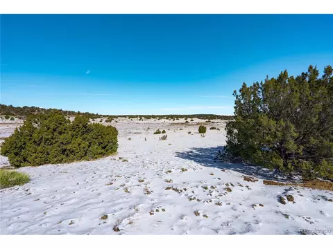 683 La Deora Blvd, Walsenburg, CO 81089 photo 4