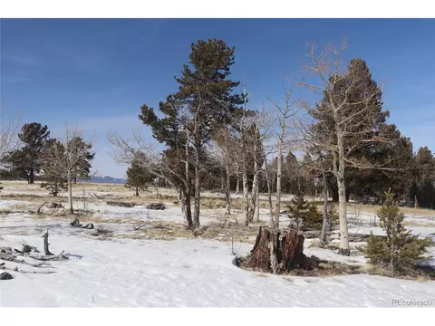 96 Baler Ct, Hartsel, CO 80449 photo 3