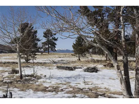 96 Baler Ct, Hartsel, CO 80449