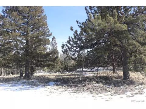 96 Baler Ct, Hartsel, CO 80449 photo 7