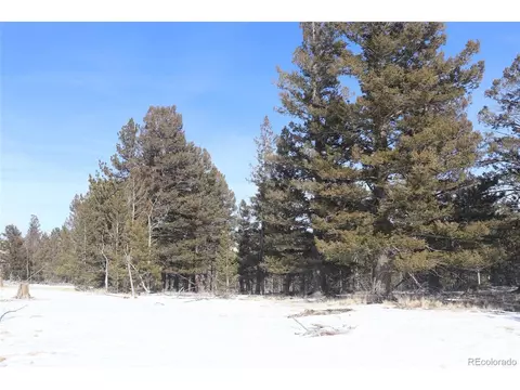 96 Baler Ct, Hartsel, CO 80449 photo 10