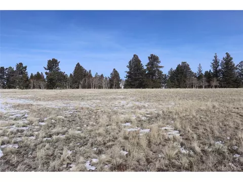 96 Baler Ct, Hartsel, CO 80449 photo 11