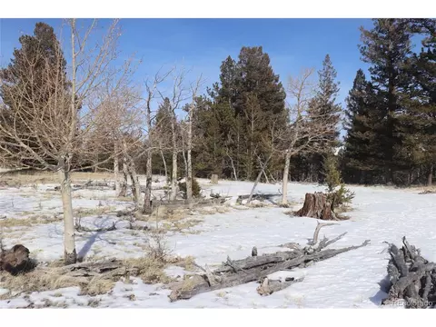 96 Baler Ct, Hartsel, CO 80449 photo 6