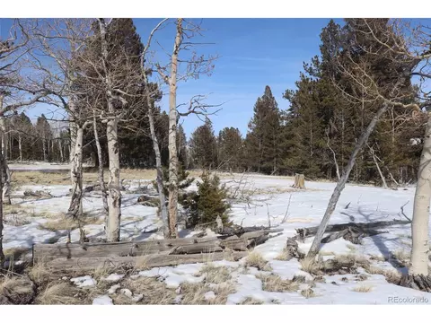 96 Baler Ct, Hartsel, CO 80449 photo 5