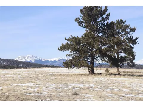 96 Baler Ct, Hartsel, CO 80449 photo 2