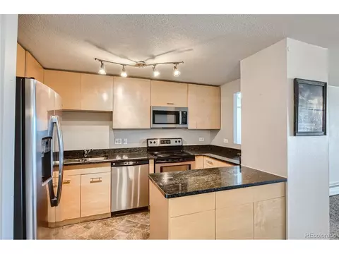 1029 E 8th Ave #601, Denver, CO 80218 photo 10
