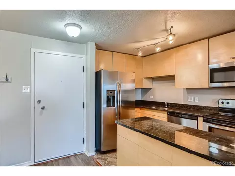 1029 E 8th Ave #601, Denver, CO 80218 photo 5