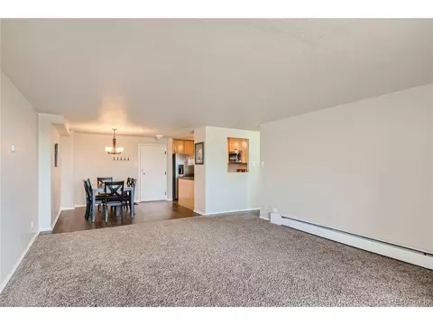 1029 E 8th Ave #601, Denver, CO 80218 photo 8