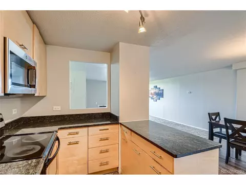 1029 E 8th Ave #601, Denver, CO 80218 photo 11