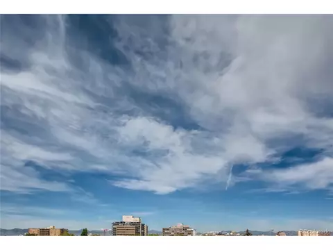 1029 E 8th Ave #601, Denver, CO 80218 photo 25