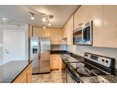 1029 E 8th Ave #601, Denver, CO 80218 photo 12