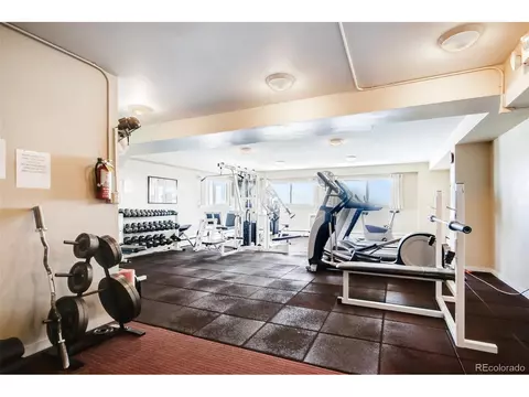 1029 E 8th Ave #601, Denver, CO 80218 photo 33