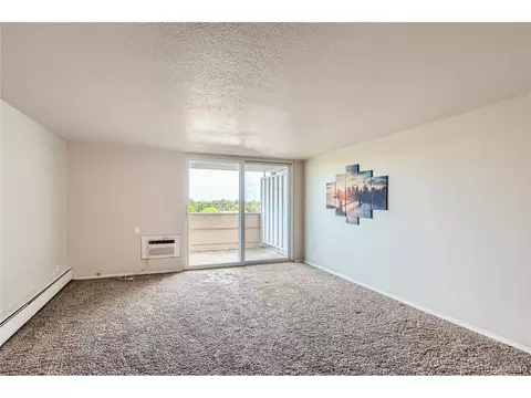 1029 E 8th Ave #601, Denver, CO 80218 photo 7